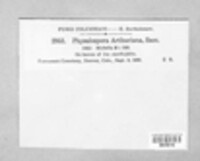 Image Associated With the Occurrence